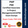 PMI-100